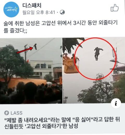 17376107894066.jpeg