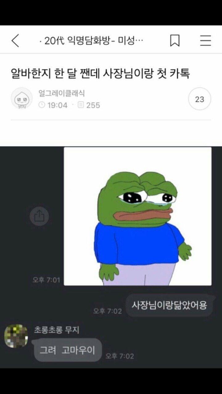 17376420841389.jpeg