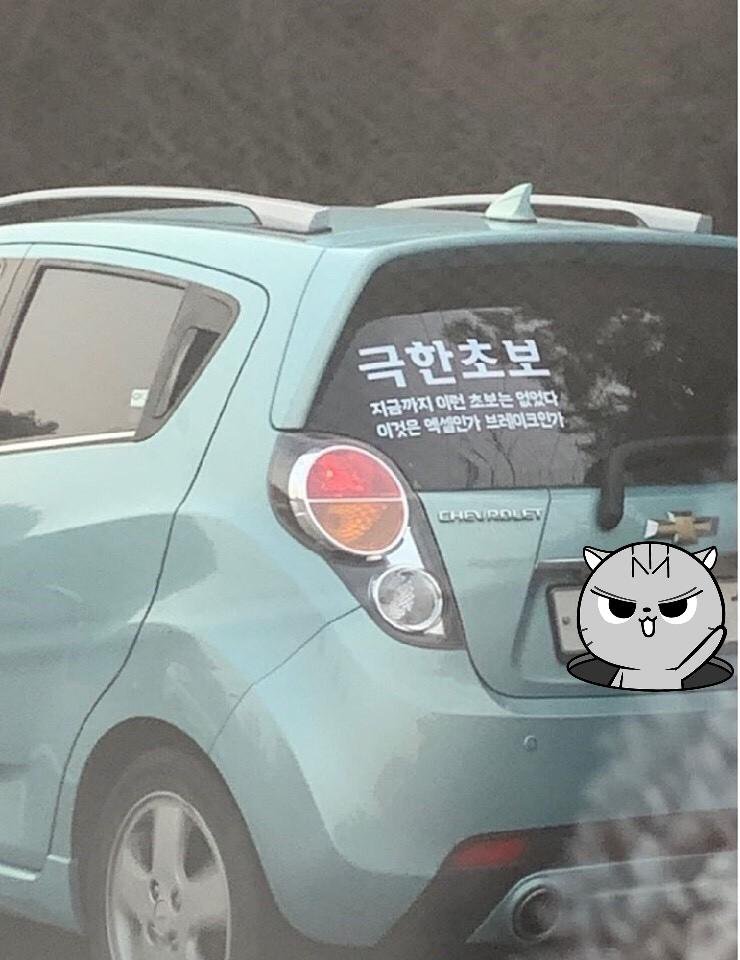 17376492085557.jpeg