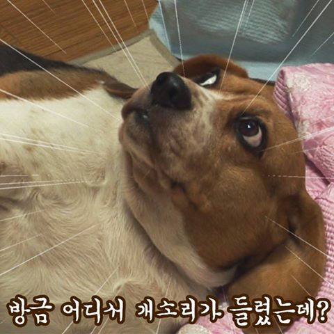 17376510719492.jpeg