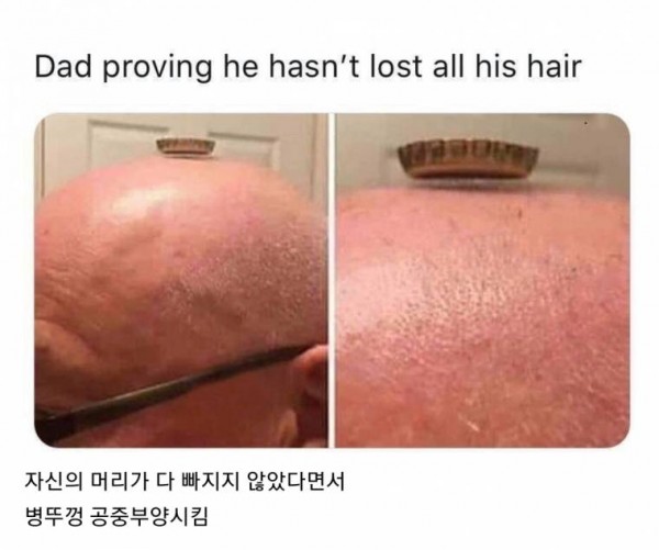 17376926303126.jpeg