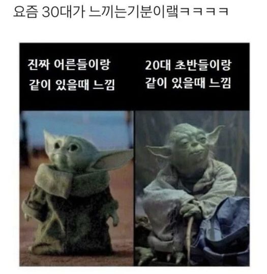 17376931915293.jpeg
