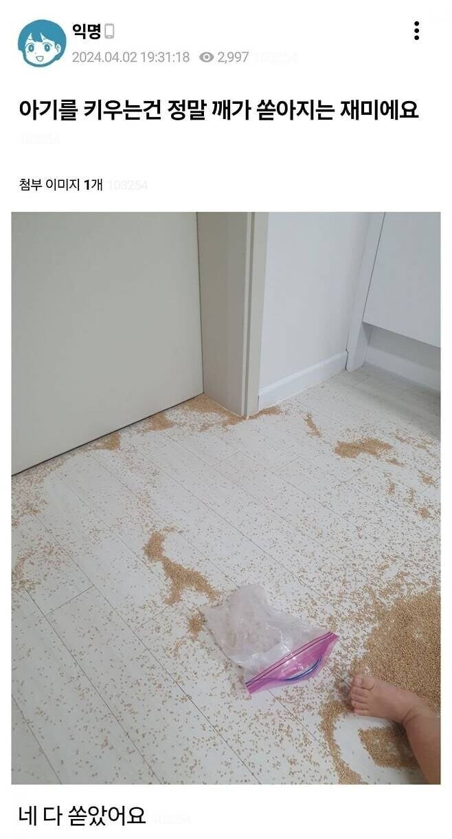 17376938023768.jpeg