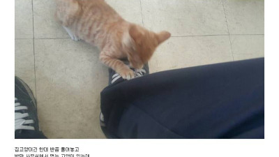 Image 499245