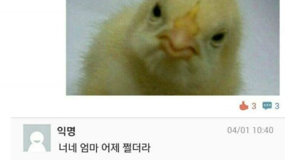 Image 499970
