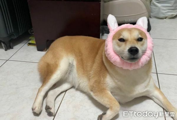 17438530853696.jpeg