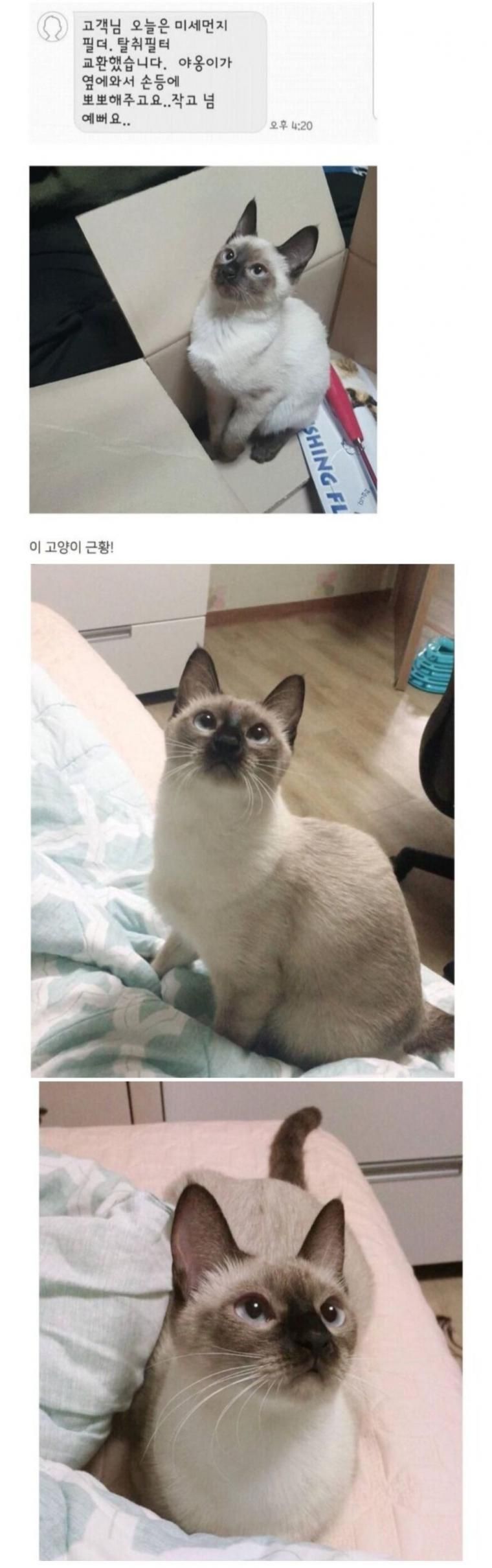 17438538372257.jpeg