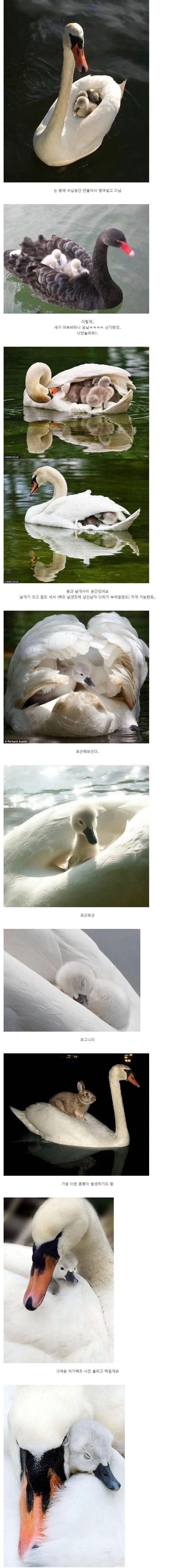17438541756383.jpeg