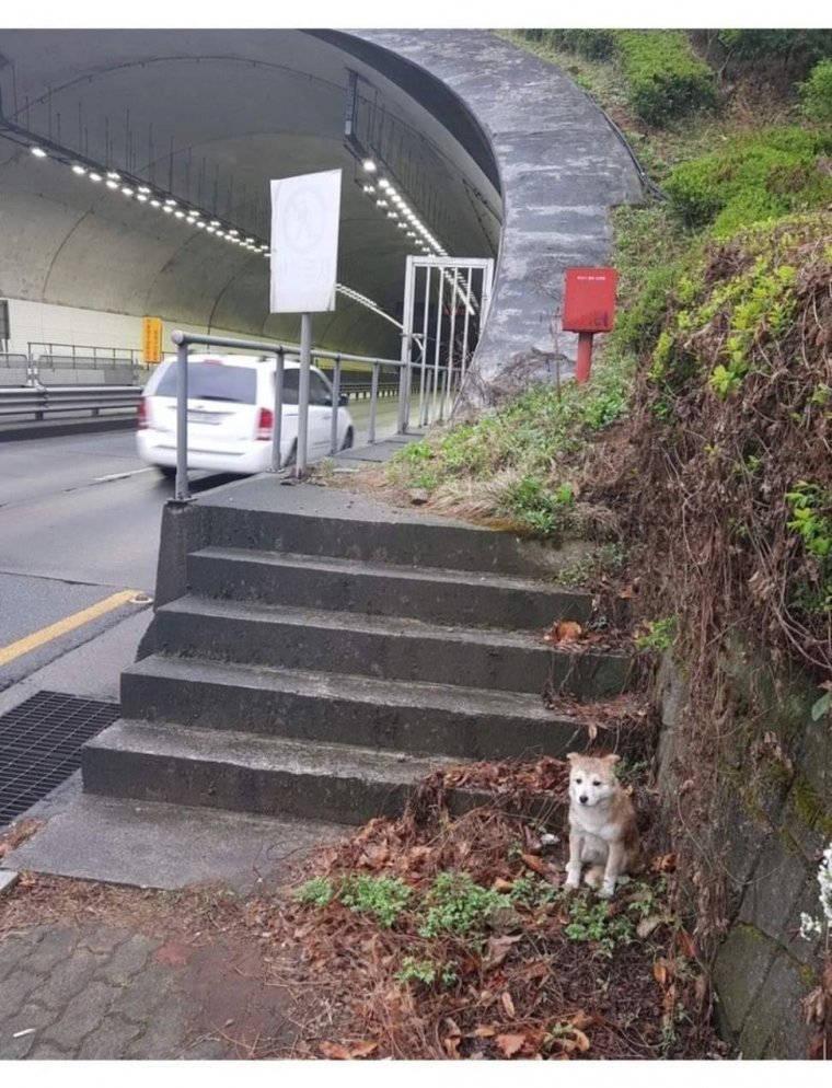 17438542021763.png