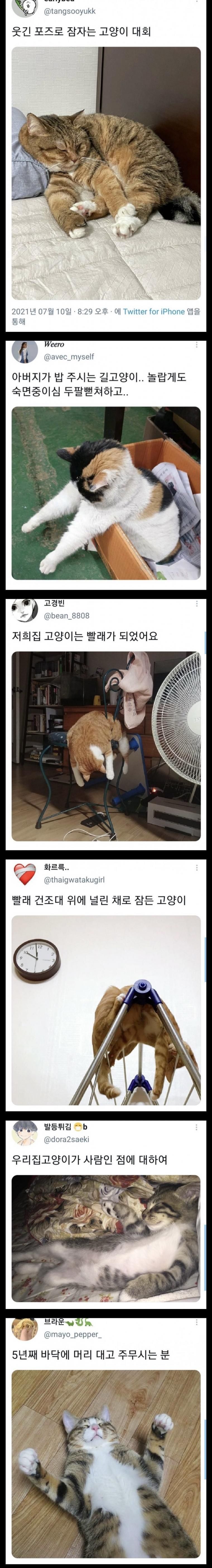 17438542372477.jpeg