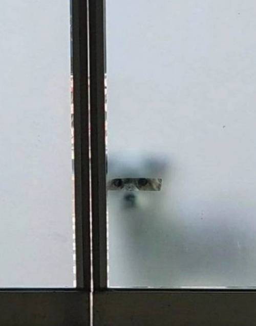 17438544308531.jpeg