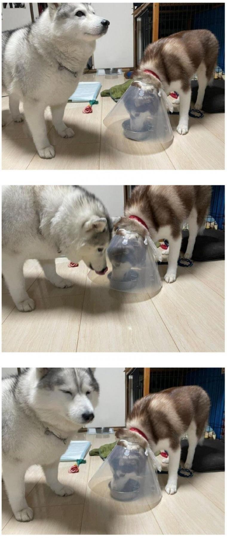 17438550501367.jpeg