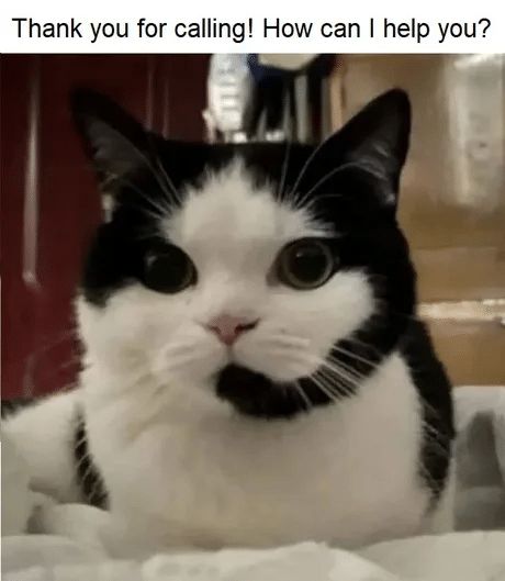 17438551529766.jpeg