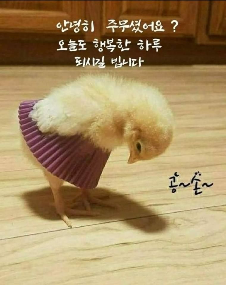 17438556242181.jpeg