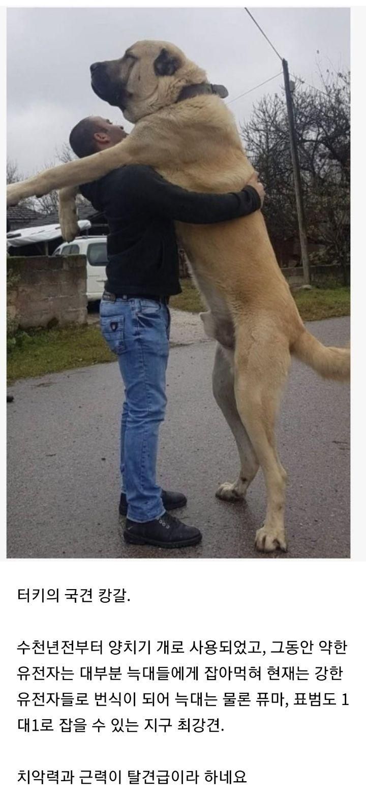 17438560427675.jpeg