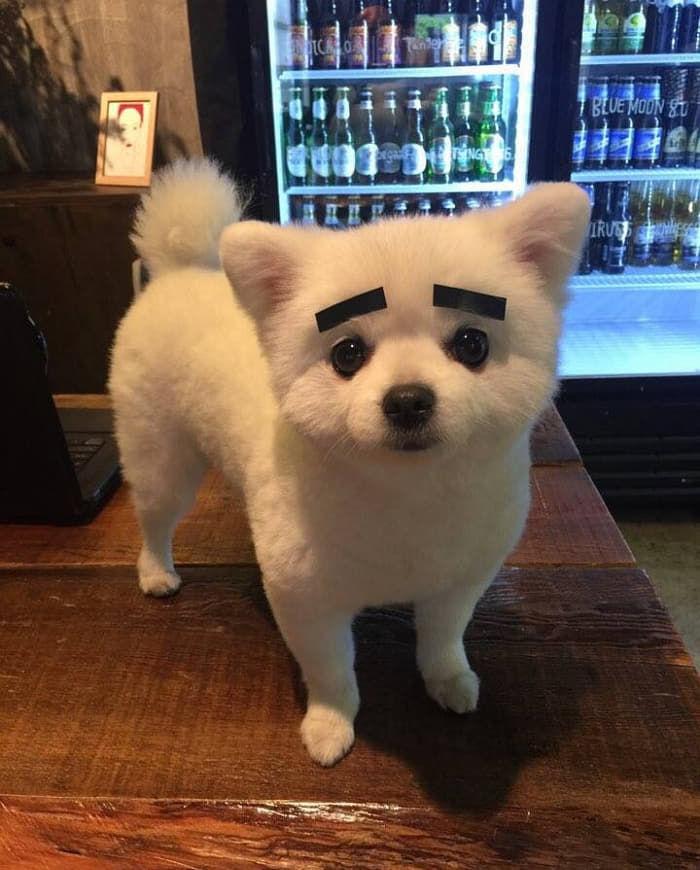 17438562849145.jpeg