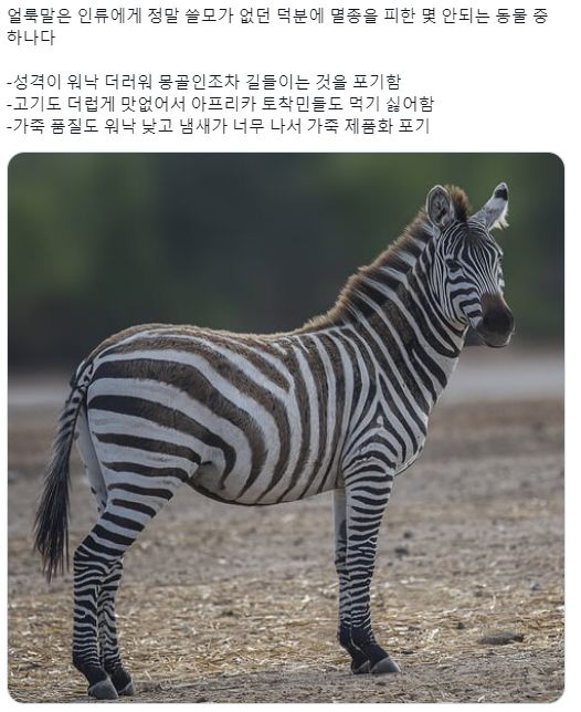 17438563700974.jpeg