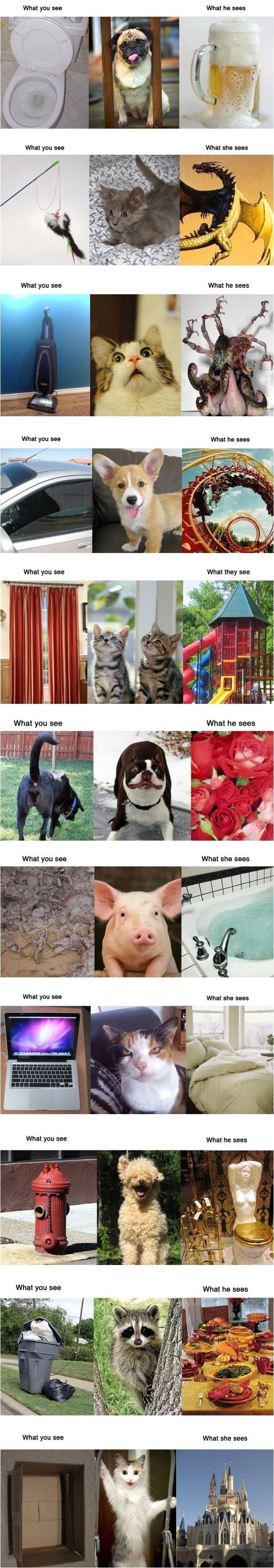 17438565476392.jpeg