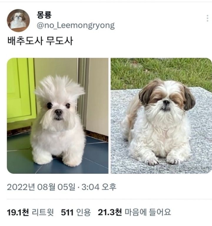 17438568360828.jpeg