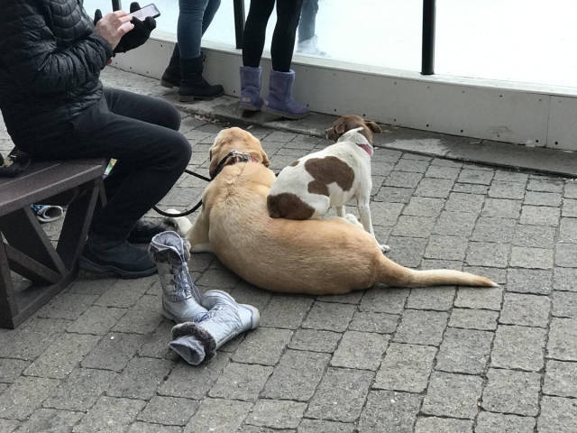 17438573213656.jpeg
