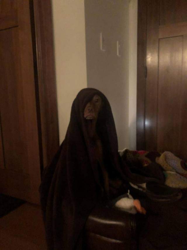 17438574530233.jpeg