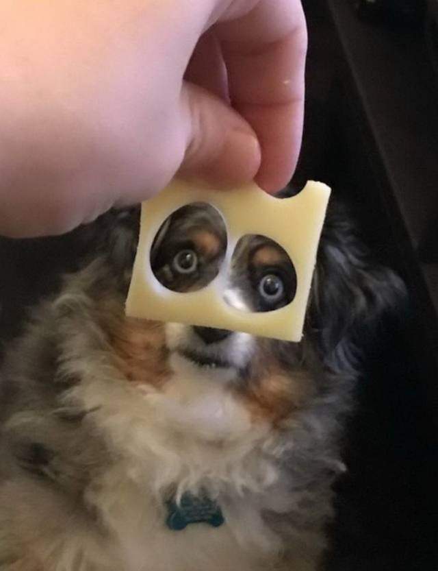 17438574586731.jpeg