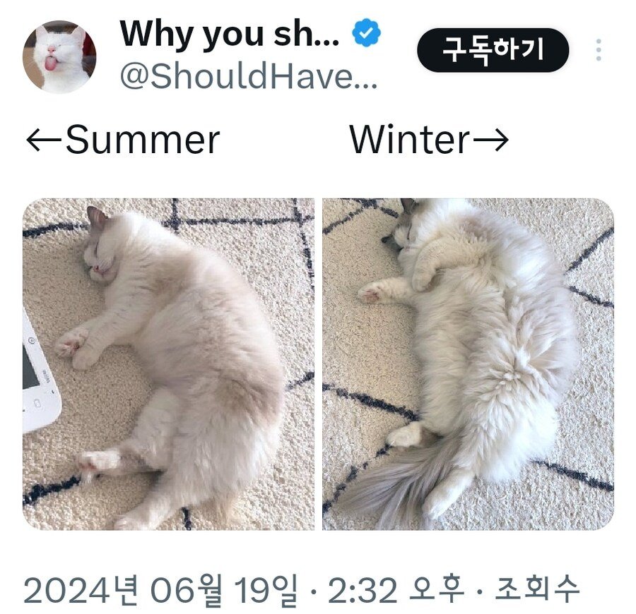 17438575939666.jpeg