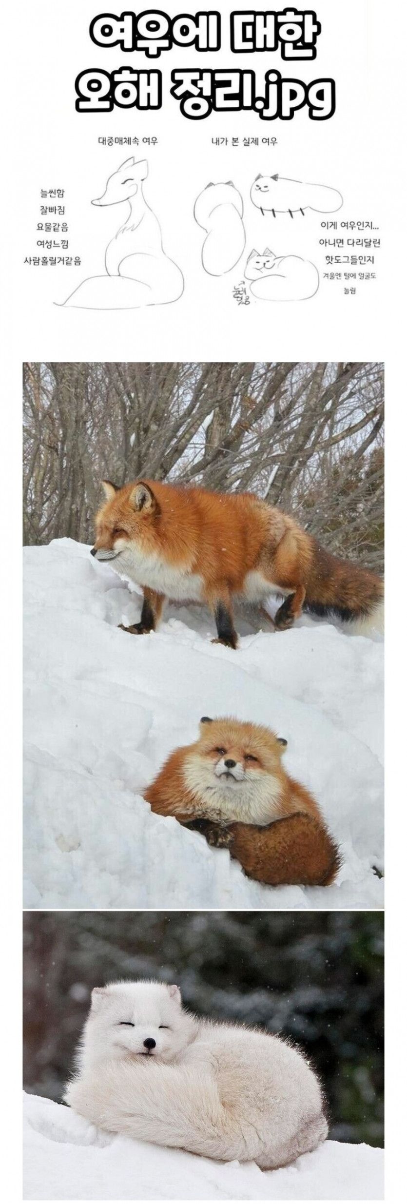 1743857627051.jpeg