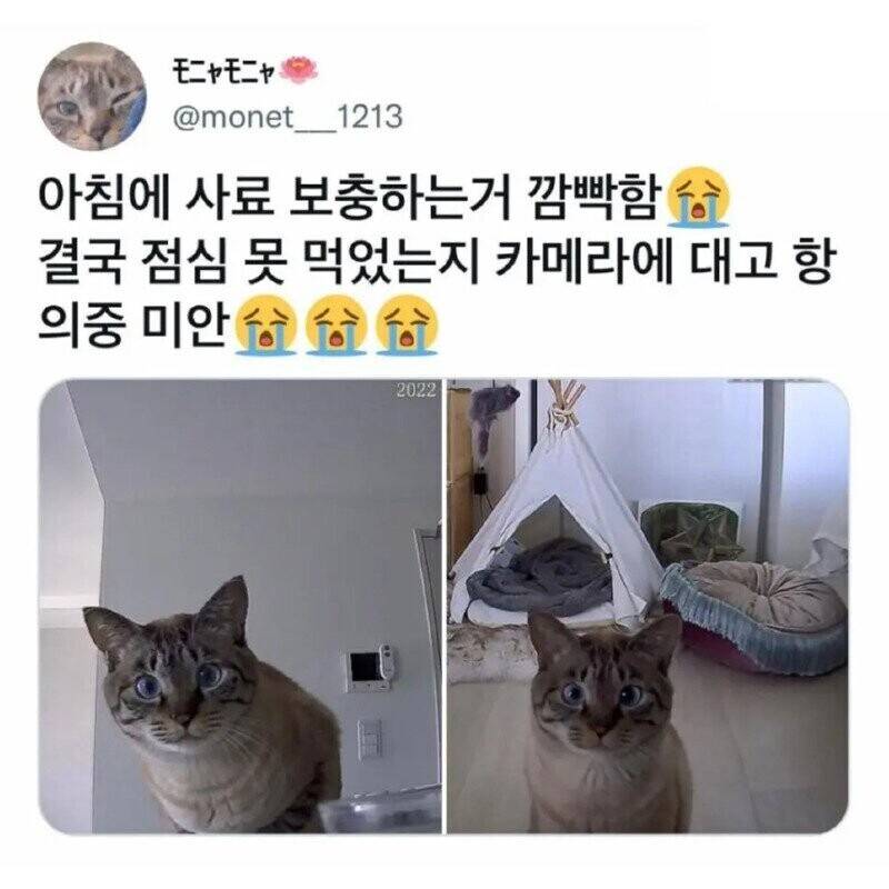 17438580394314.jpeg