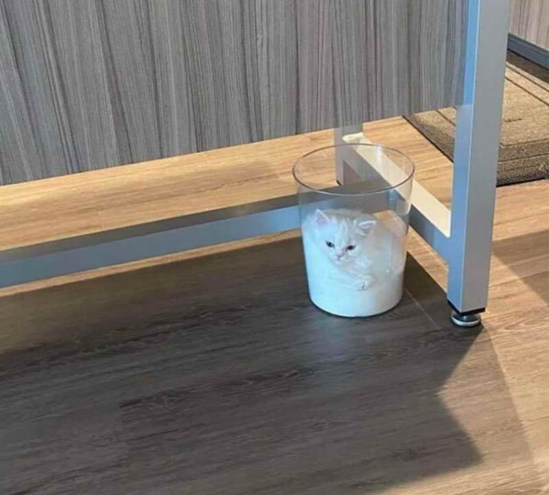 17438581530556.jpeg
