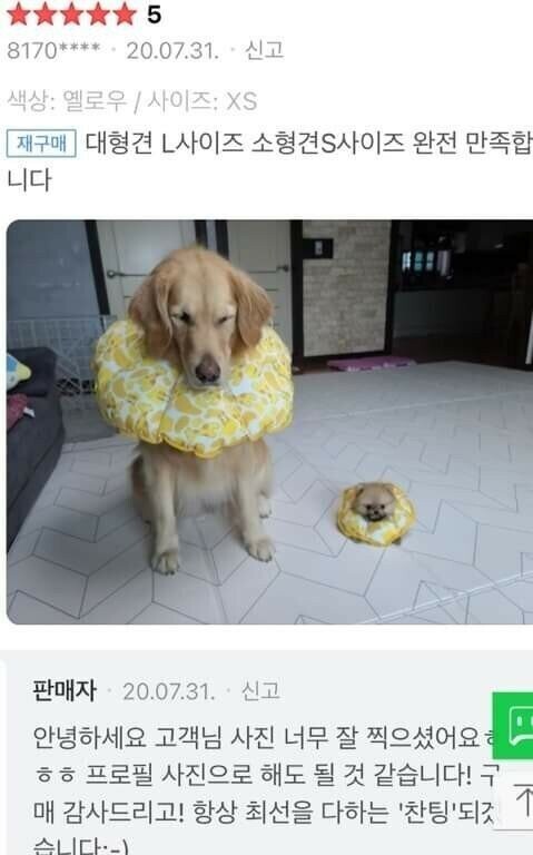 17438582283359.jpeg