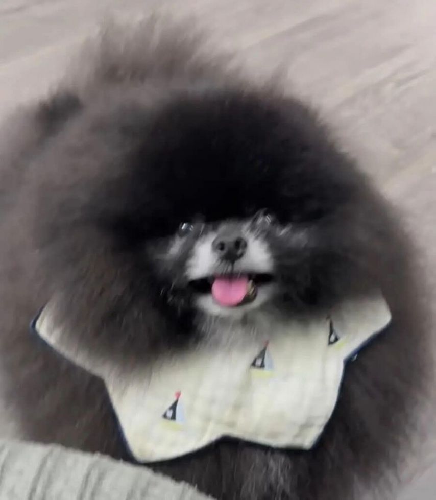 17438583682473.jpeg