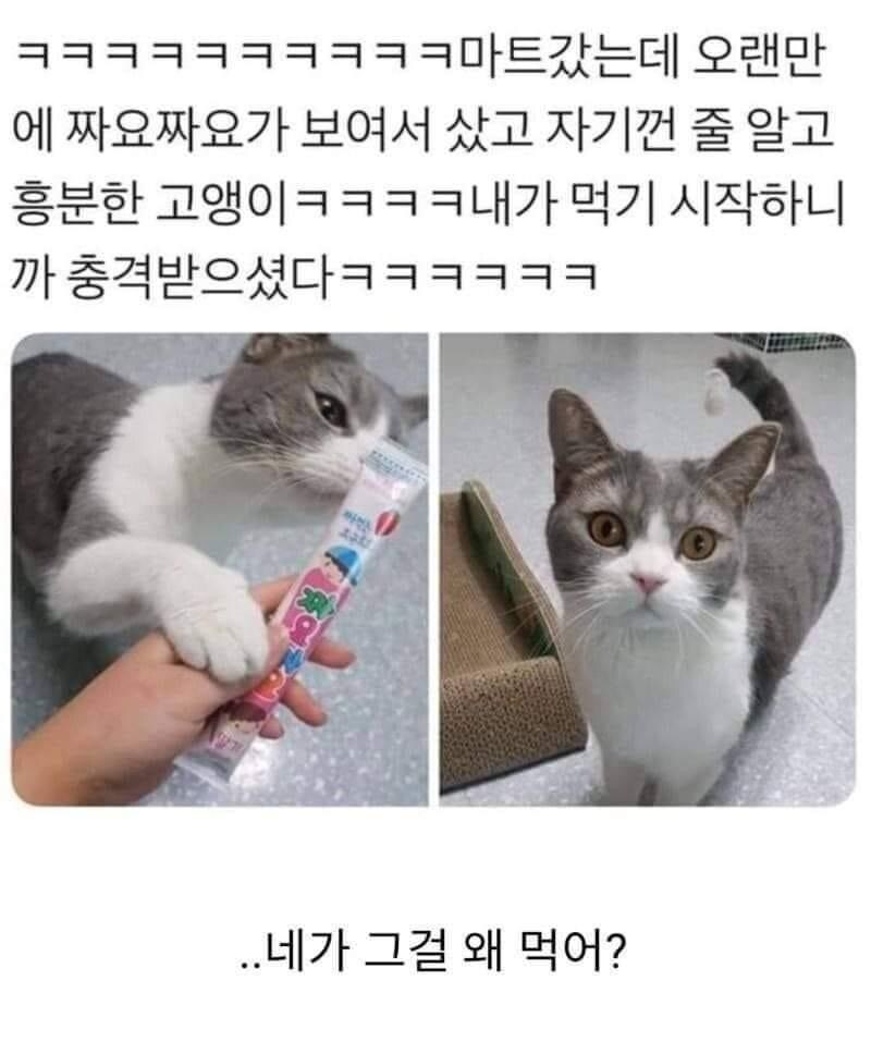 17438585596313.jpeg