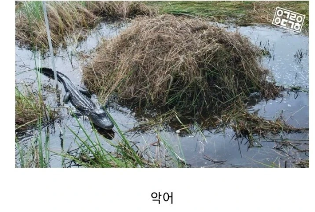 174385857284.png
