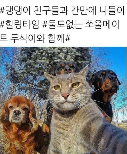 17438587662468.jpeg
