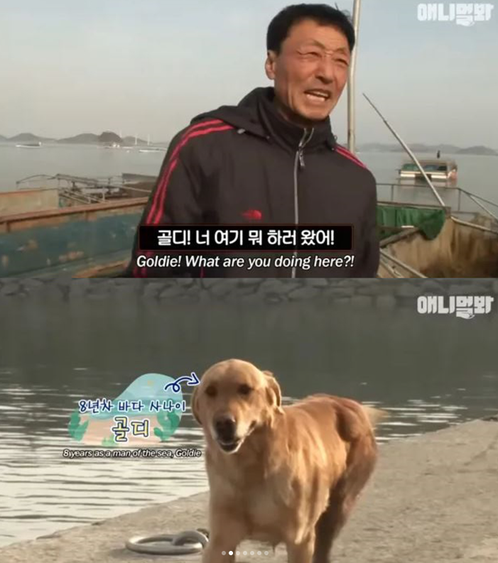 17438590767305.png