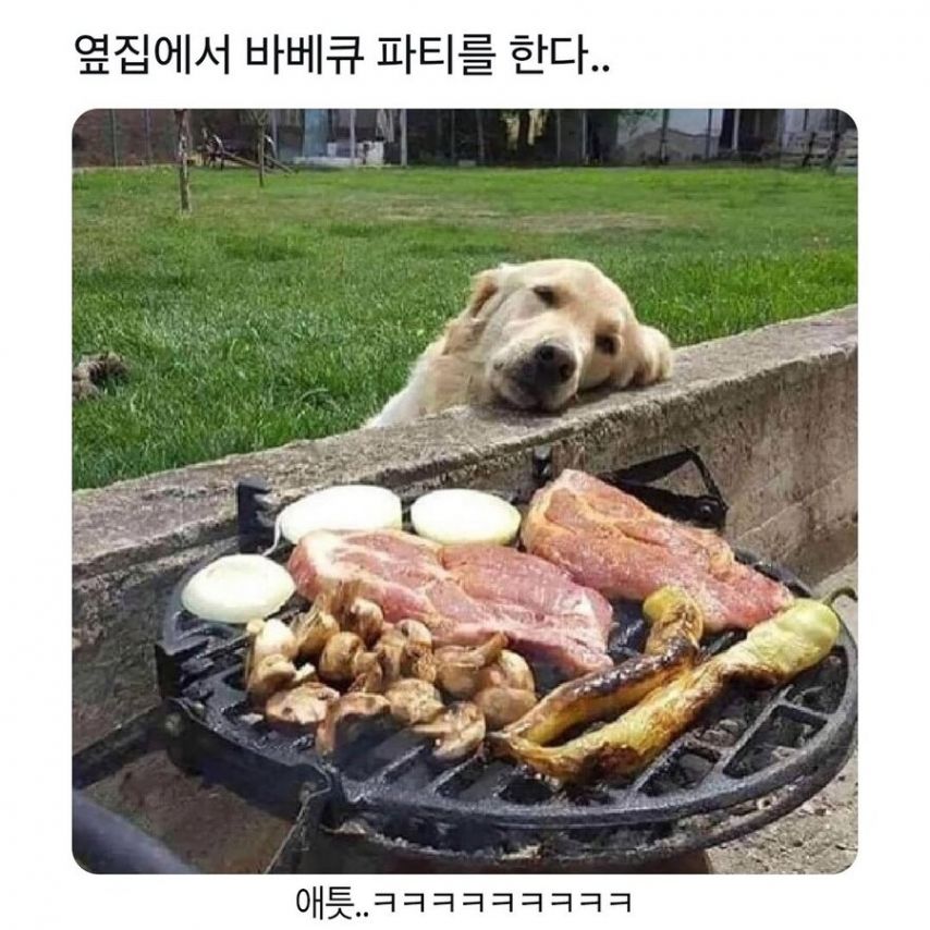 17438613082706.jpeg