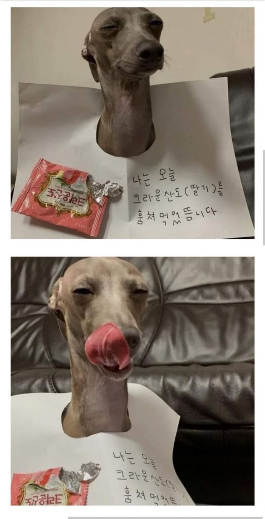 17438614063455.jpeg