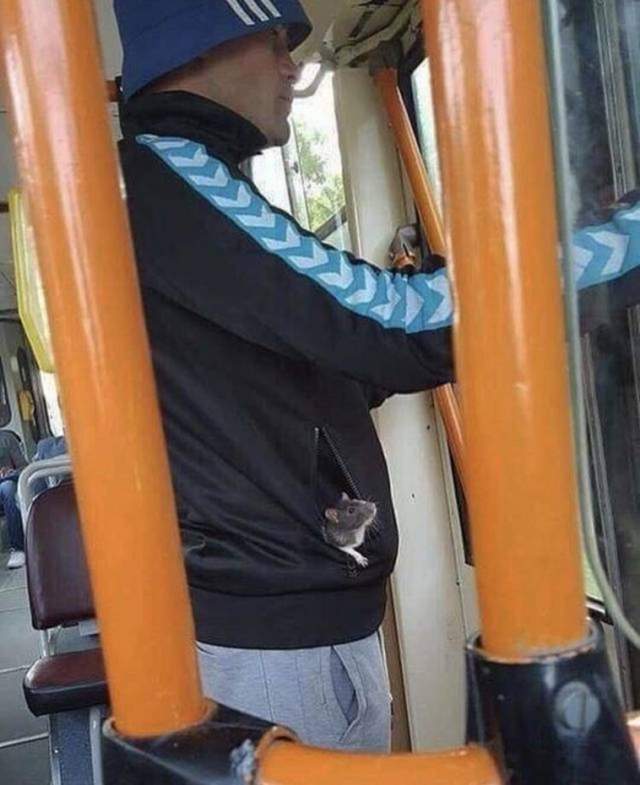 17438614323076.jpeg