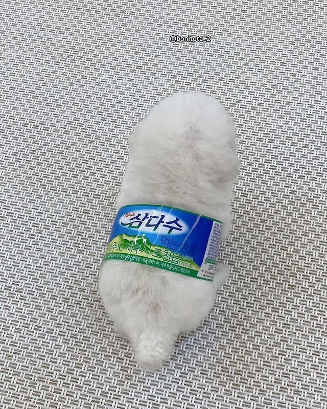 17438616621214.jpeg