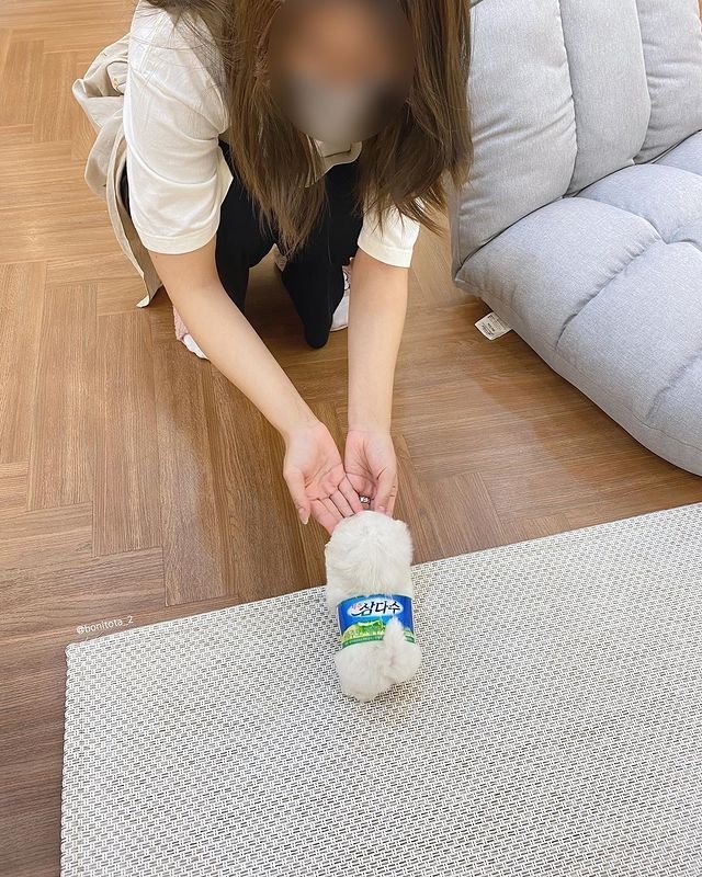 17438616622491.jpeg