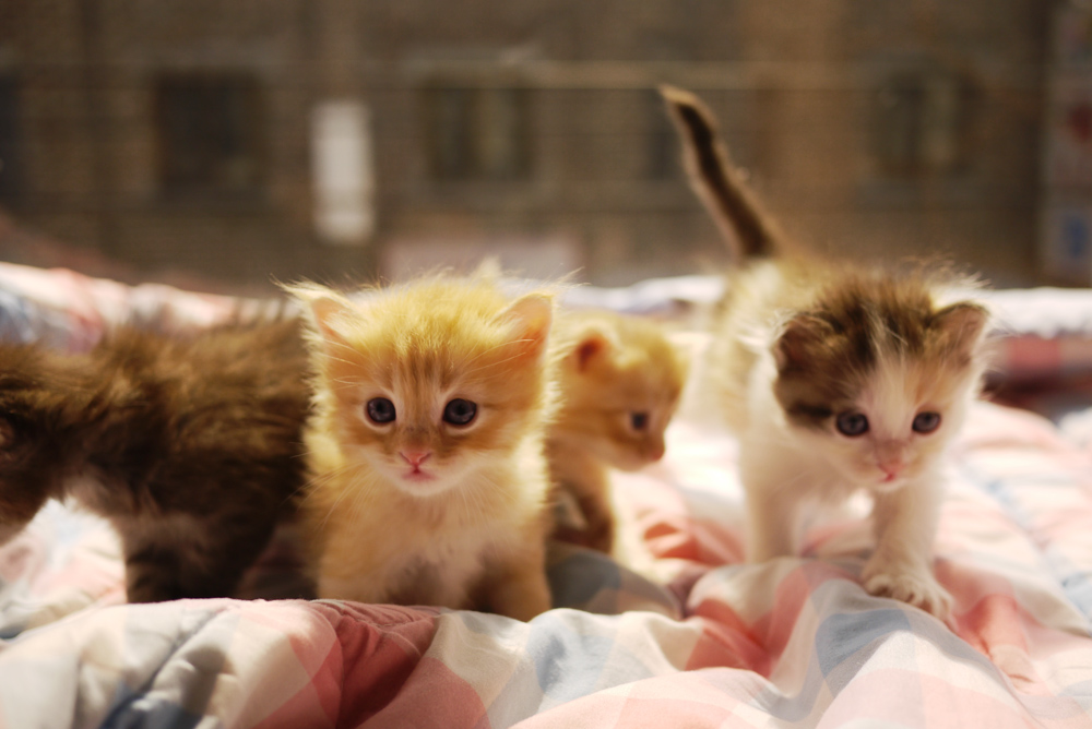 17438618140224.jpeg