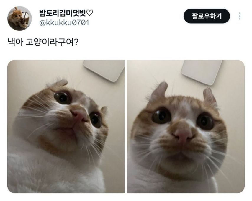17438625355584.jpeg