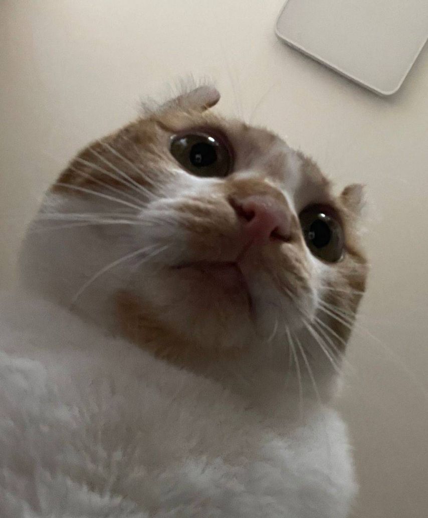 17438625357434.jpeg