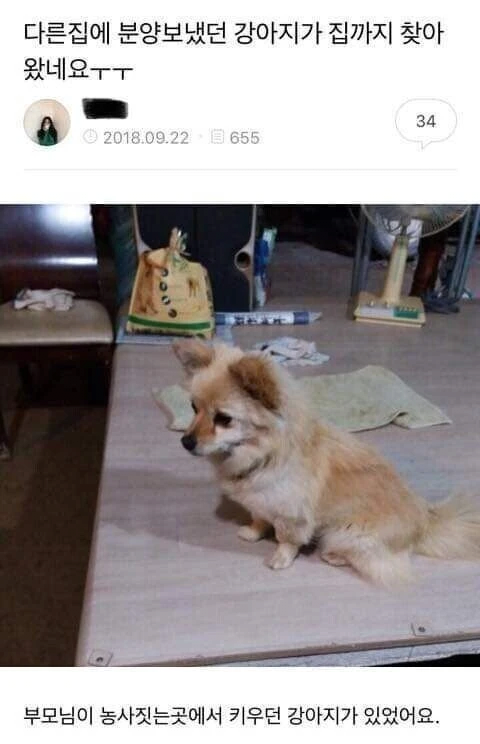 17438630743677.png