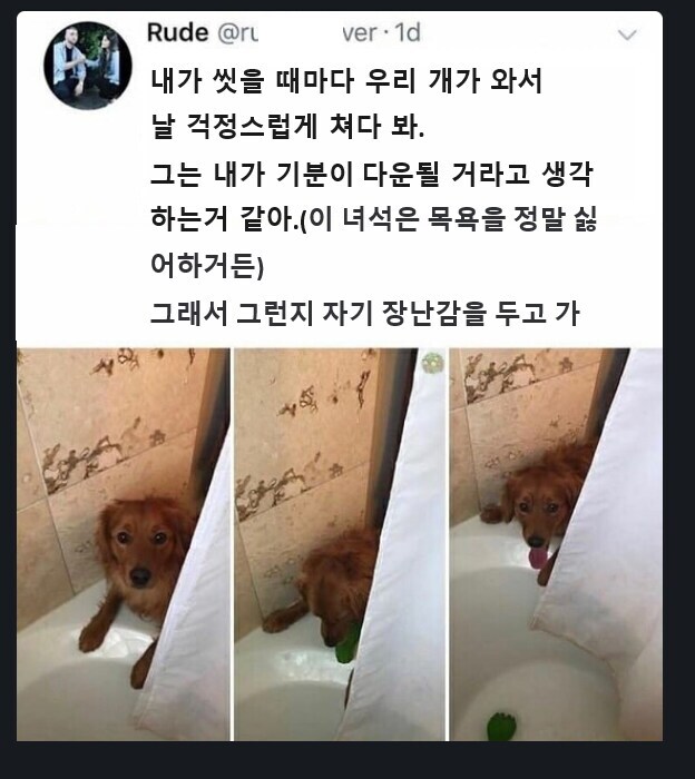 1743865249499.jpeg