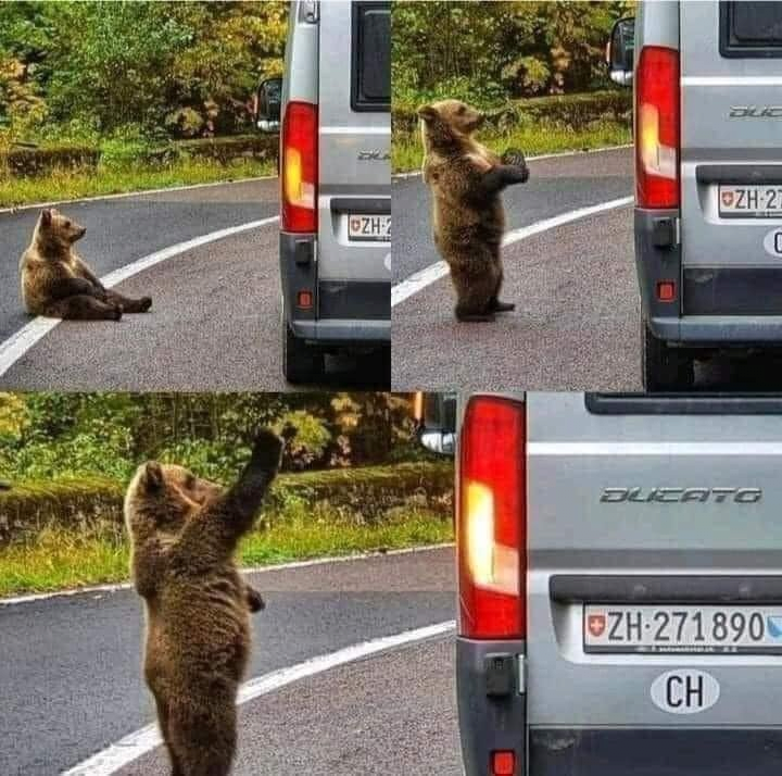 17438655463744.png