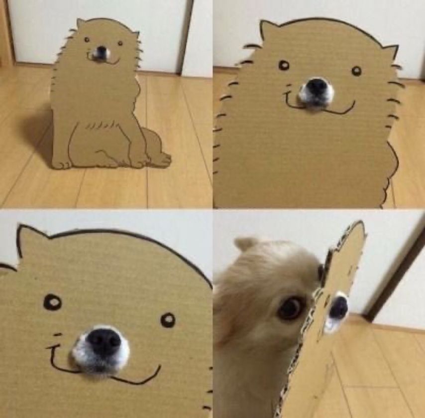 1743866323897.jpeg