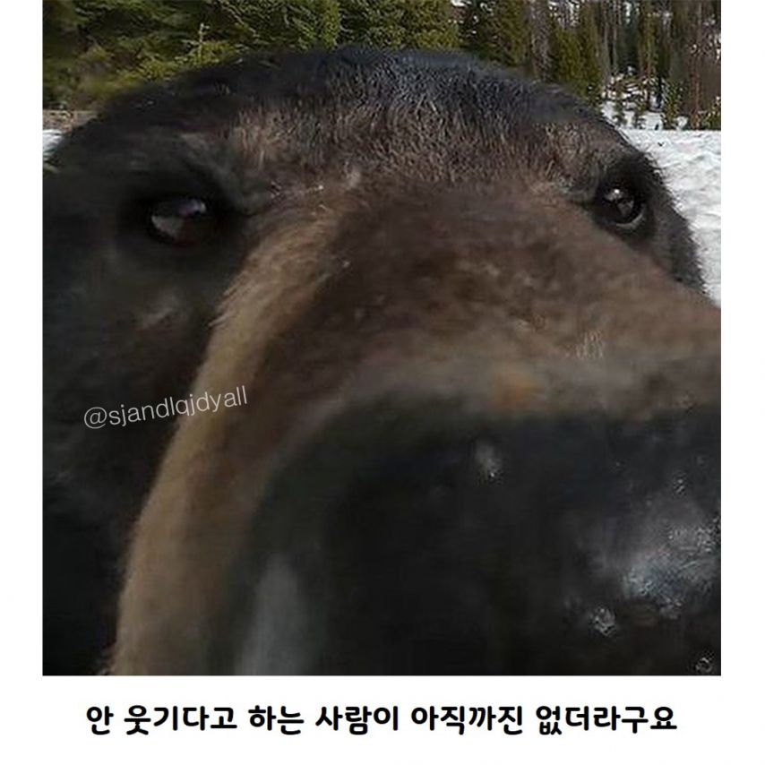 17438669197753.jpeg