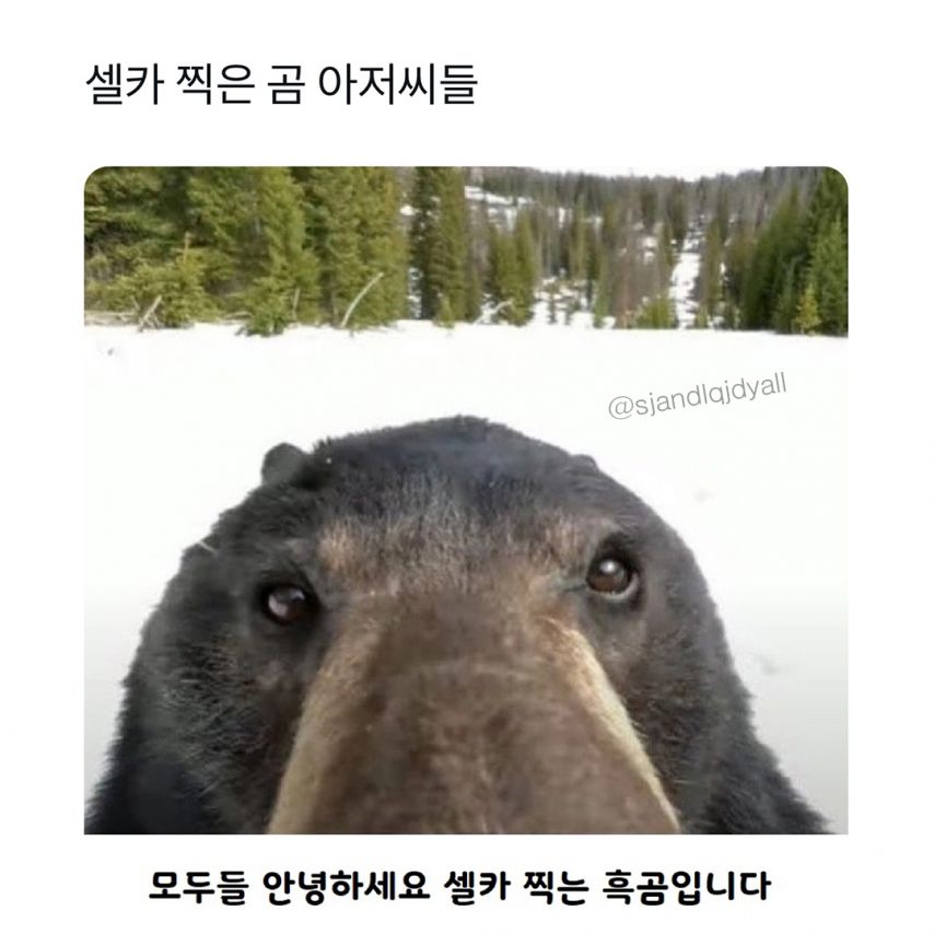 17438669202538.jpeg